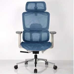 Ghế công thái học A548