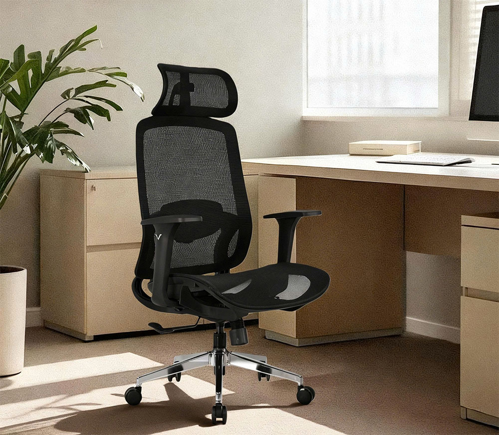 Thiết kế hiện đại, phù hợp với nhiều không gian của ghế A2509