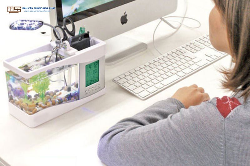Bể cá đặt ở bàn làm việc 