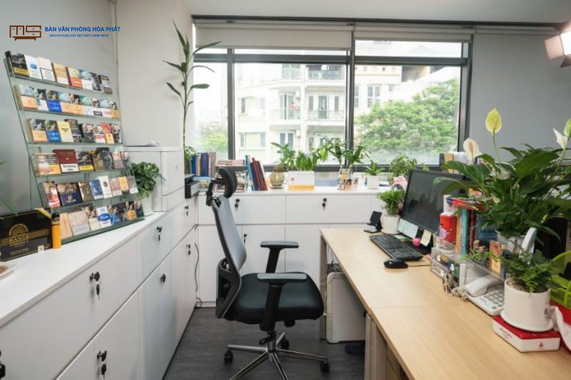 Cách đặt cây xanh giúp tăng hiệu suất khi làm việc